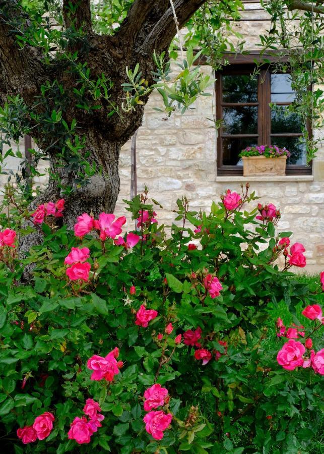 Le Mandrie Di San Paolo Villa Assisi Dış mekan fotoğraf