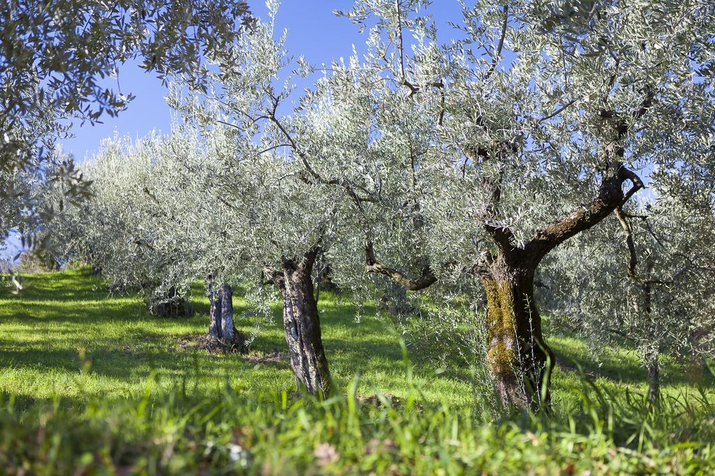 Le Mandrie Di San Paolo Villa Assisi Dış mekan fotoğraf