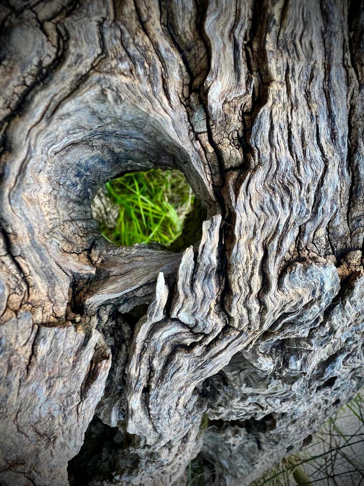 Le Mandrie Di San Paolo Villa Assisi Dış mekan fotoğraf