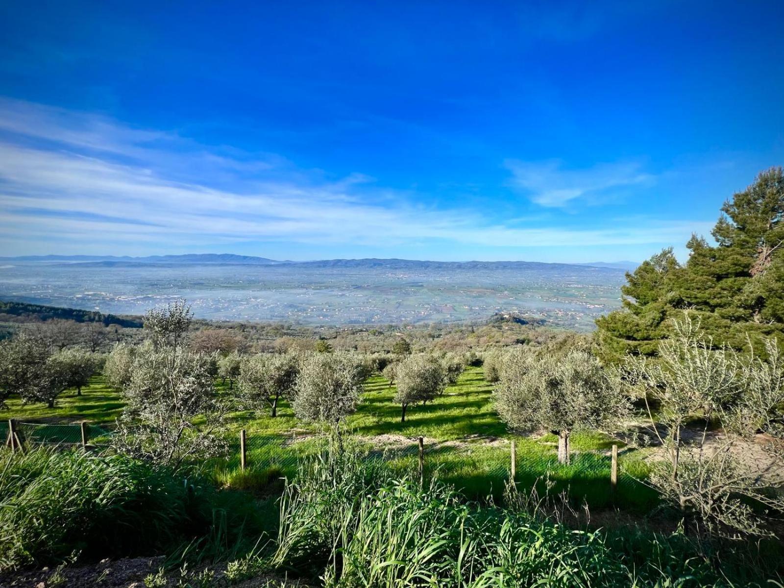 Le Mandrie Di San Paolo Villa Assisi Dış mekan fotoğraf