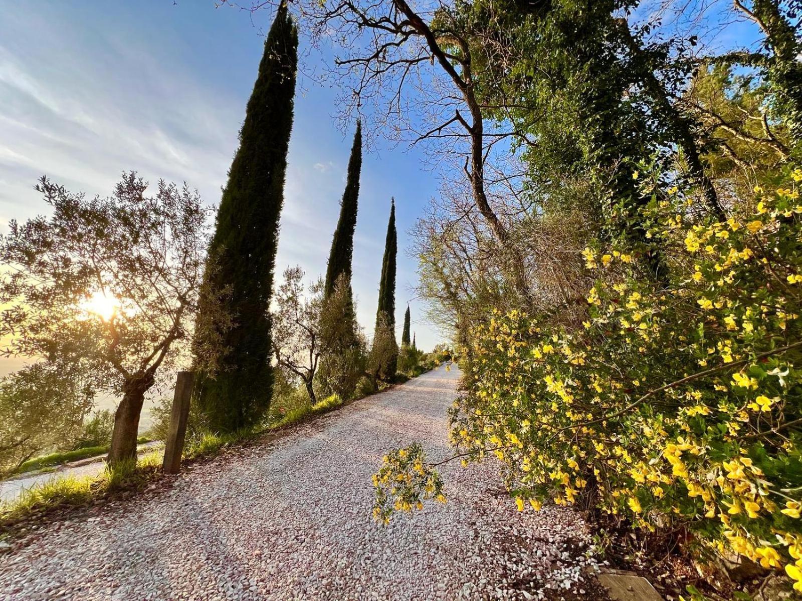 Le Mandrie Di San Paolo Villa Assisi Dış mekan fotoğraf