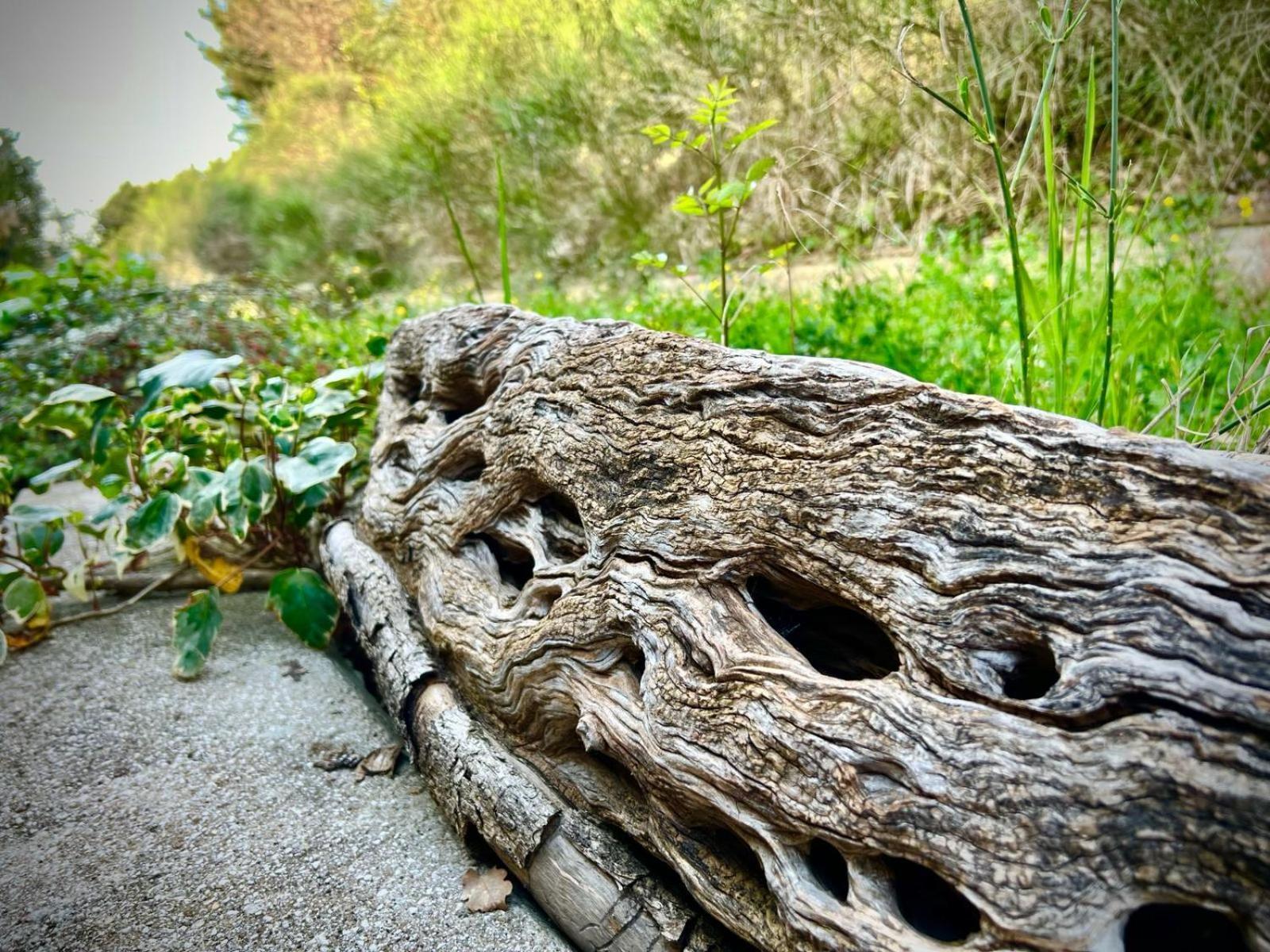 Le Mandrie Di San Paolo Villa Assisi Dış mekan fotoğraf